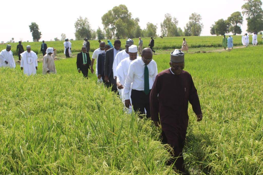 Audu Ogbeh, Nigeria's Minister of Agriculture and Rural Development; and other government officials on an agricultural tour.