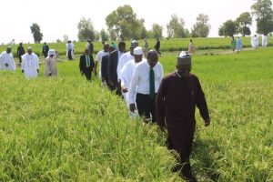 Audu Ogbeh, Nigeria's Minister of Agriculture and Rural Development; and other government officials on an agricultural tour.