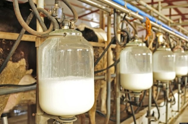 CBN takes milk import policy earnestly, seeks production base for Nestle, WAMCO, L&Z in Abuja