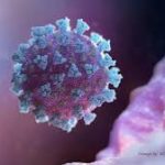 We will soon unveil our COVID-19 cure — ABU professors