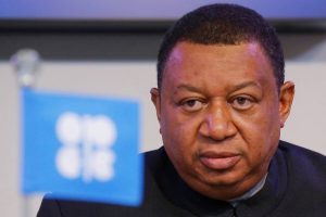 OPEC welcomes push for electric vehicles, but says fossil fuel remains strong