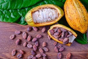 Nigerian cocoa dealers fret as price slump squeezes revenues