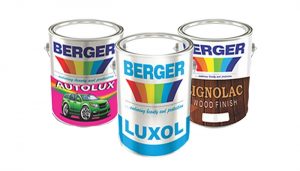 Berger Paints appoints Gbadebo, Aisha as independent non-executive director