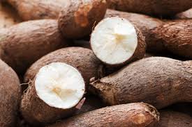 Nigeria: Wheat importation worries meet opportunity in cassava flour 
