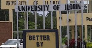 UNILORIN, IITA researchers develop ILOMAZ-1 maize breed to boost production