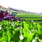 Sugar contract leads coffee, cocoa to weekly plunge