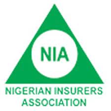 Insurers yield N9bn of N20bn #EndSARS protest claims, says NIA