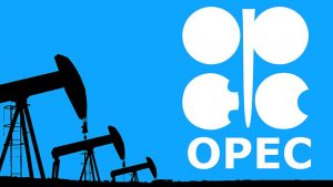 OPEC warns gas crises could worsen as EU energy ministers discuss rising costs