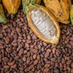 Cocoa emerges best performer on AFEX Exchange 