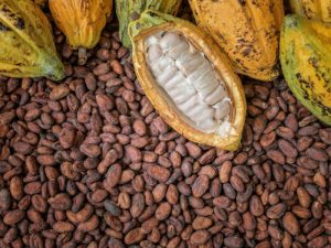 Cocoa emerges best performer on AFEX Exchange 