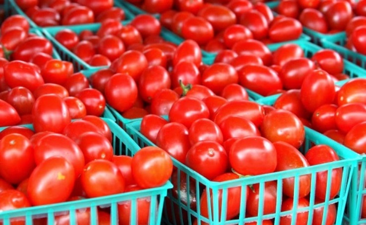 Tomato Jos debuts Nigeria’s first indigenous tomato paste