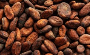 ICCO tackles cadmium in cocoa beans with WTO, EU funding