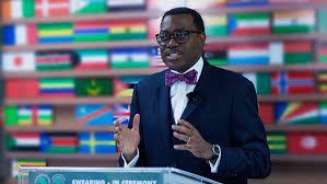 AfDB to deliver climate-adapted wheat, other seeds to 20m African farmers