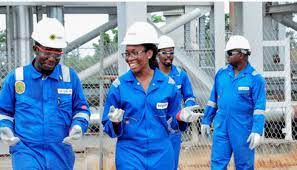 Seplat Energy commences operation at new 67km Amukpe-Escravos Pipeline