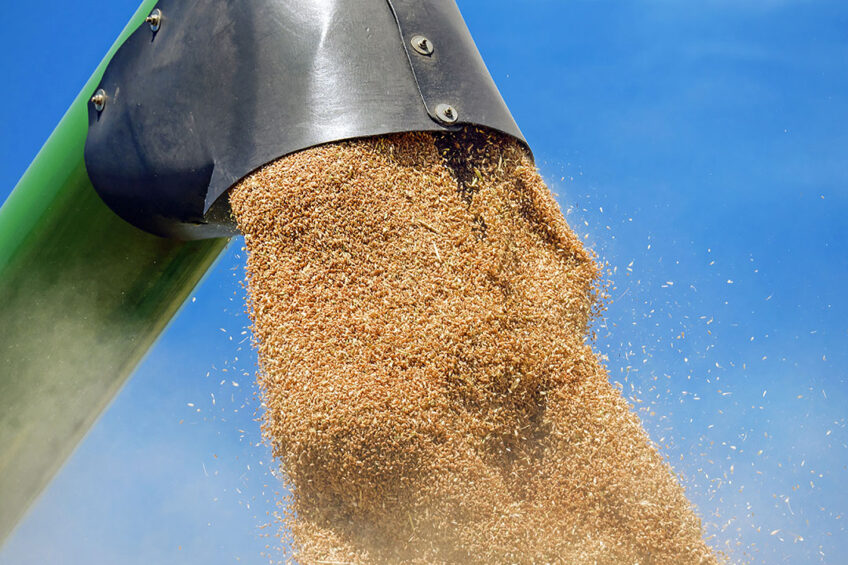 World market lightens up as Ukraine's grains resume shipment 