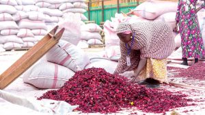 Nigeria, Mexico renew economic ties to resume hibiscus flower export