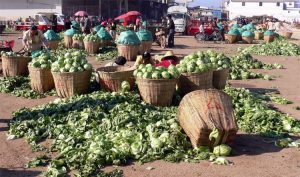 How Nigeria can cut N3.5trn yearly post-harvest losses, by experts