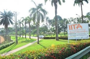 IITA advocates NSPRI/universities collaboration to curb post-harvest losses