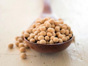 Soybean trades lower as ample supply, demand concerns weigh
