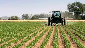 Entrepreneur tasks govt on measures to revive agric sector