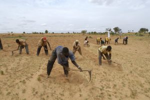 African smallholder farmers to benefit as IFAD targets $1bn private investment