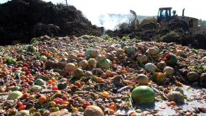 Nigeria’s agro-waste challenge offers wealth potential