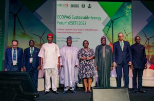 ECOWAS agency moves to develop Nigeria’s power grid