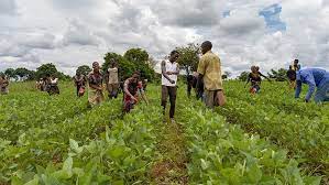 Heifer International maintains commitment to support African smallholder farmers
