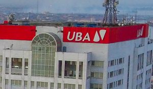 Renewvia signs long-term contract  to supply UBA with clean energy