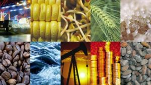 AFEX predicts decline in Nigeria’s grain commodities output amid economic disruptions 