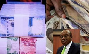 CBN has capacity to produce redesigned new naira notes 