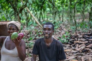 ICCO projects slump in cocoa demand as economic uncertainties linger