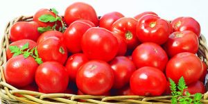 Tomato scarcity looms as new import policy troubles Nigerian farmers