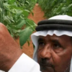 How agri-tech start-ups are driving investment in emerging markets