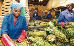 Agribusiness: Ghanaian firms want increased support to boost exports to Europe