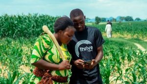 ThriveAgric empowers over 500,000 smallholder farmers to accelerate food production across Africa