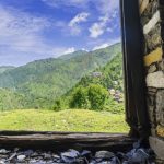 Frameworks and Focus Are Essential for Change