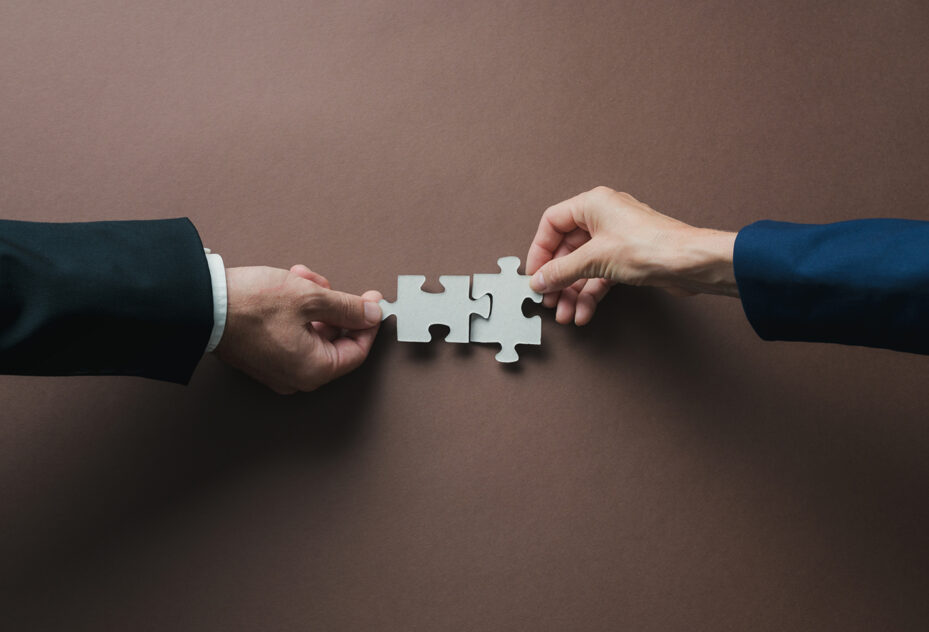 How to Get Mergers and Acquisitions Right