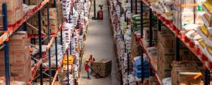How the Most Resilient Companies Adapt to Disruption